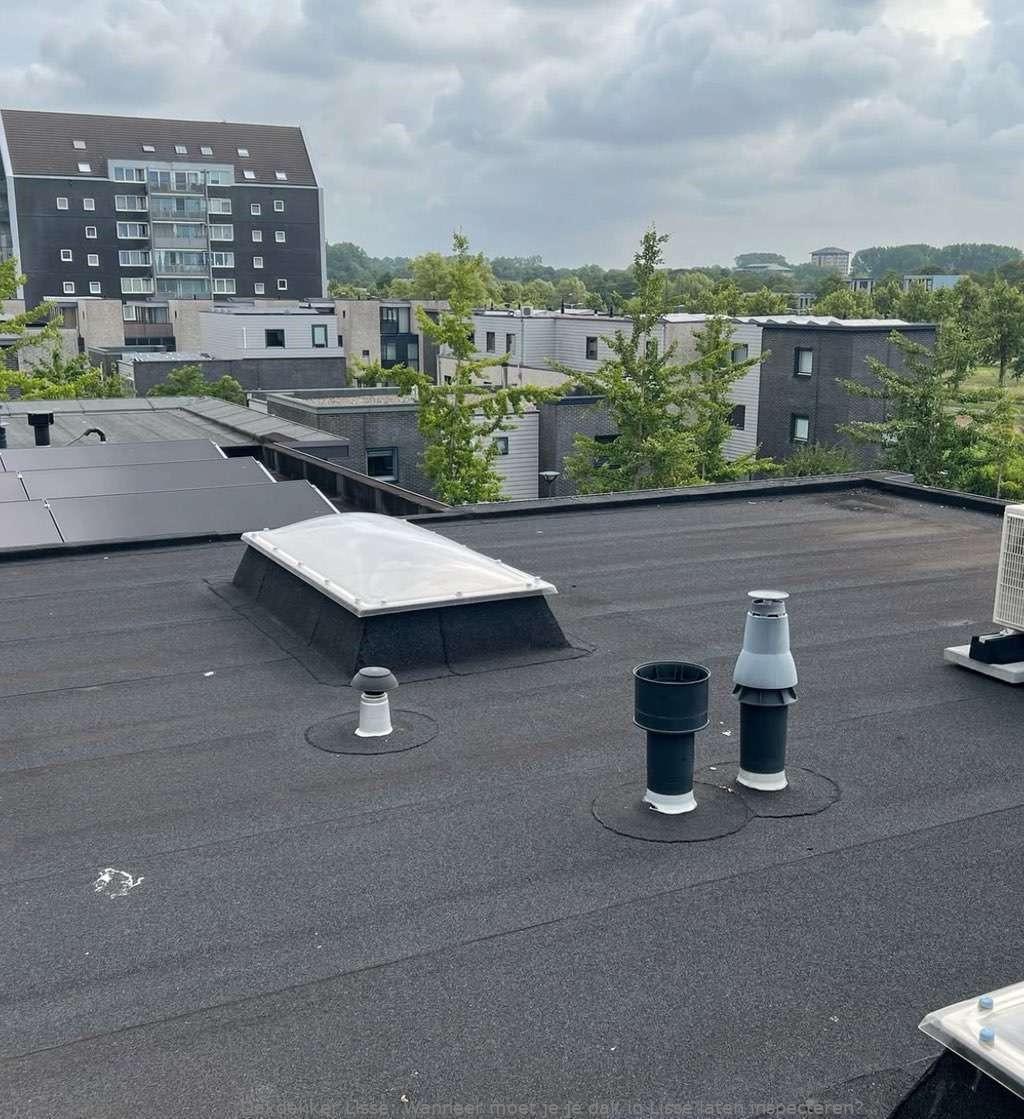Dak Laten Inspecteren Lisse