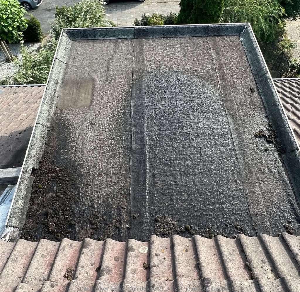 Dak Lekt Lisse