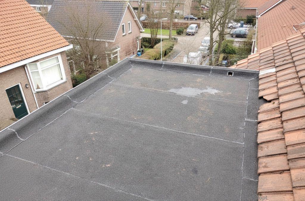 Dakdekker In Najaar Lisse
