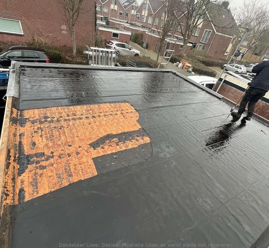 Dakleer Reparatie Lisse