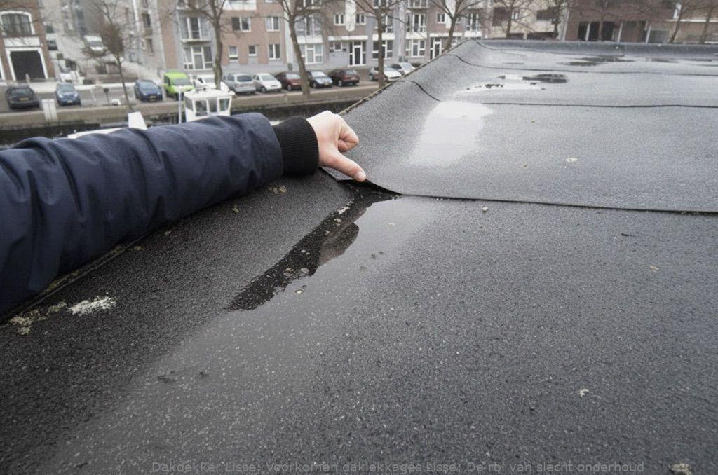 Voorkomen Daklekkages Lisse